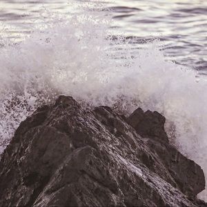 Meet your Posher, Austin